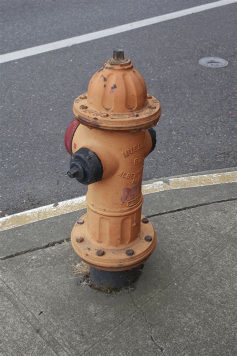 an orange fire hydrant sitting on the side of a road next to a street