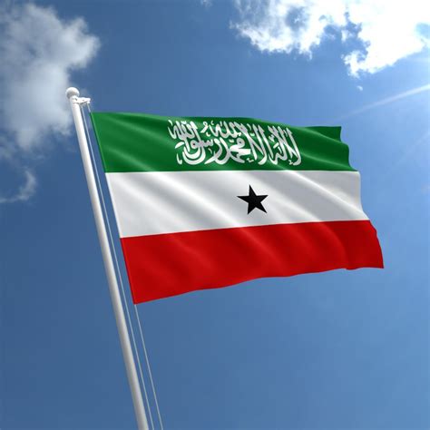 Somaliland Flag Pack - GTA5-Mods.com