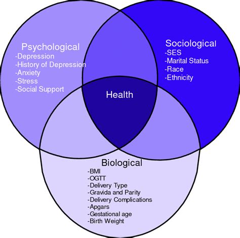 The Biopsychosocial Model for the Study of Depression and Gestational... | Download Scientific ...