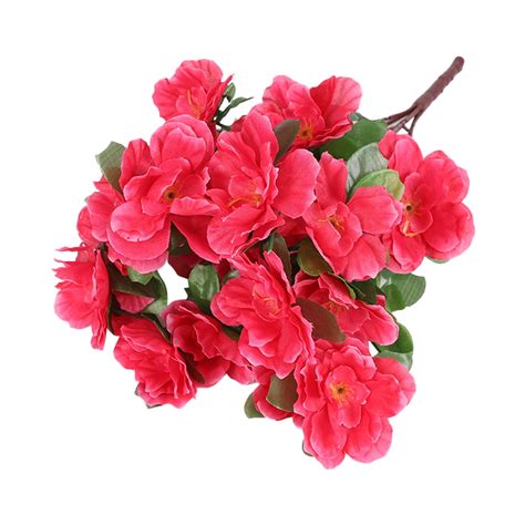 Azaleas Flower Decoration Flower Bed Horticultural Layout Dirt Lime ...