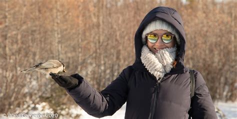 084 Feeding Birds Ethically and Effectively - The Mountain Nature and Culture Podcast