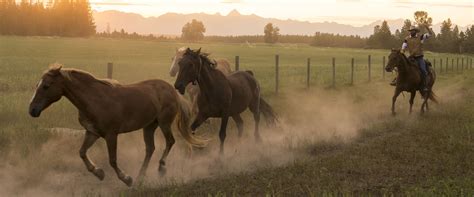 Explore Cranbrook, BC