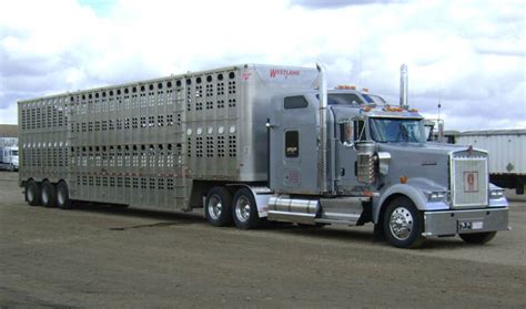 Automobile and Equipment Hauling - West Land Livestock Inc