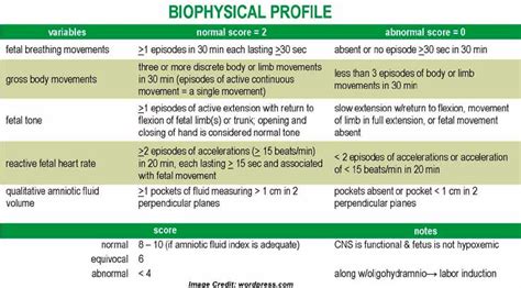 USG-BIOPHYSICAL PROFILE LabTest