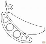 Free Peas Coloring Pages Printable Vegetable sketch template