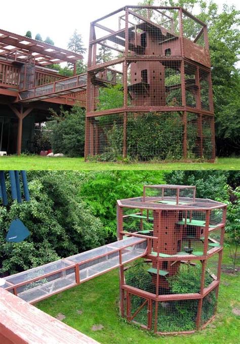 outdoor catio Diy Cat Enclosure, Outdoor Cat Enclosure, Pet Enclosures, Cat Run, Cat Towers ...