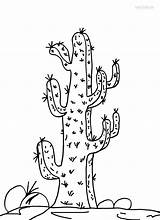 Printable Cactus Coloring Pages For Kids  Cool2bKids sketch template