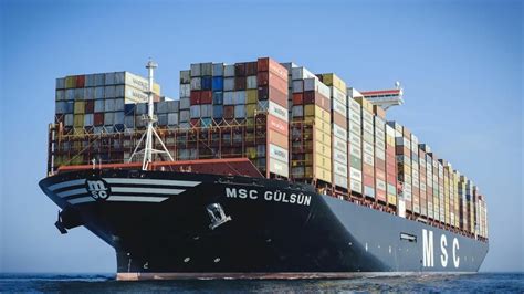 Riviera - News Content Hub - MSC unveils 'very innovative' cargo system design of world’s ...