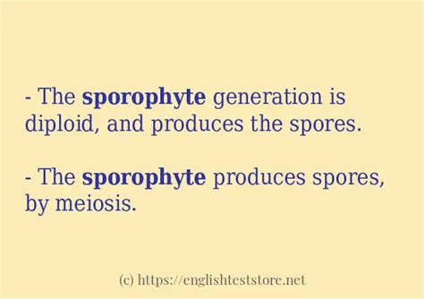 "sporophyte" - sentence examples - EnglishTestStore Blog