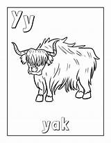Coloring Yak In 2024  Alphabet Worksheets Color sketch template