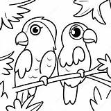 Colorful Parrots In The Rainforest Coloring Page 29865 23606 sketch template