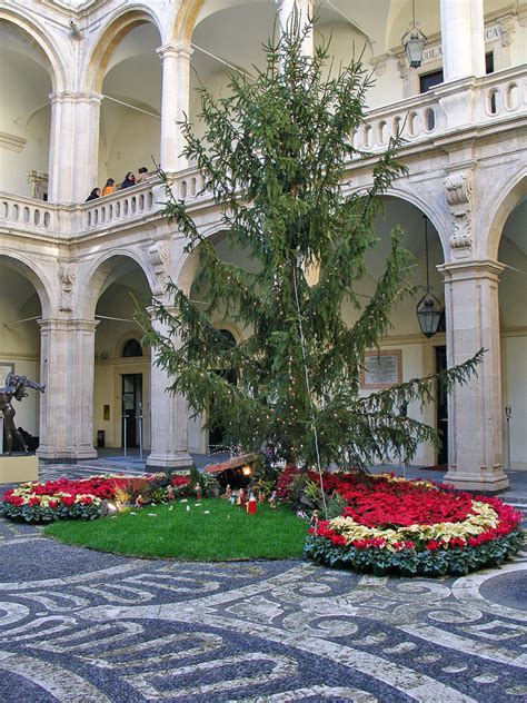 University of Catania, Catania, Sicily - Travel Photos by Galen R ...