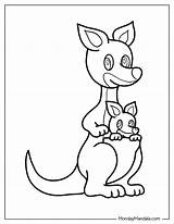 Coloring Kangaroo sketch template