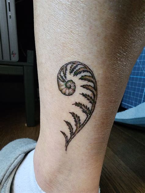 Fiddlehead Fern Tattoo | Fern tattoo, Spiral tattoos, Hippie tattoo