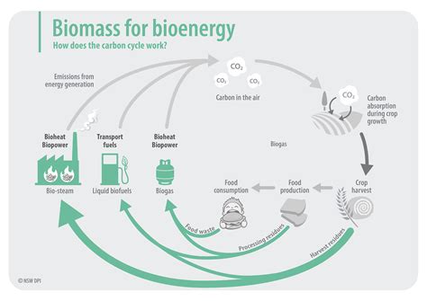 Biomass for Bioenergy Project