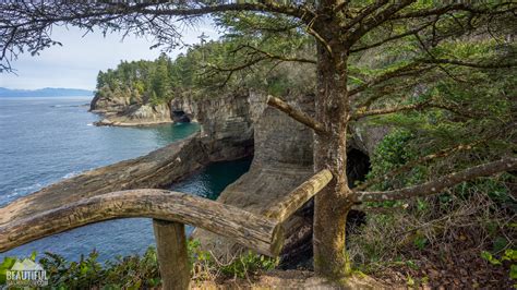 Cape Flattery Trail, Olympic National Park coastal hike, WA