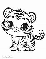 Free Printable Tiger Coloring Pages For Kids  Itsy Bitsy Fun sketch template