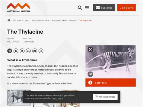 Australia Museum: Thylacine Handout for 9th - 10th Grade | Lesson Planet