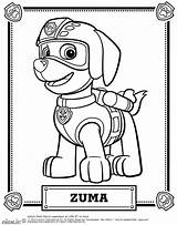 Paw Patrol Zuma Coloring Page sketch template