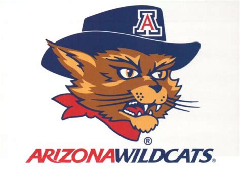 Wilbur Wildcat, University of Arizona Mascot, AZ Wildcats Football etc. Postcard | eBay