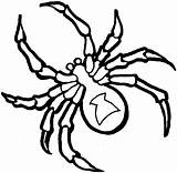 Spider Coloring Pages Printable sketch template