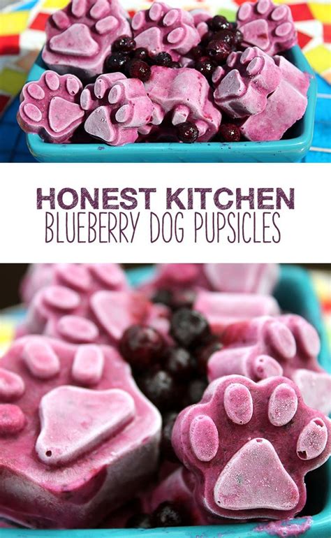 Blueberry Dog Pupsicles | Recipe | Pet treats recipes, Frozen dog treats, Healthy dog treats ...