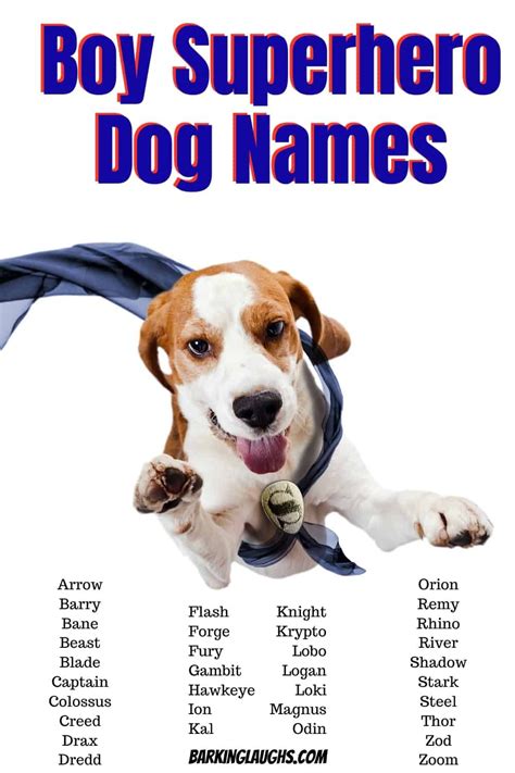 Plant Names For Dogs Boy at davideyoungo blog