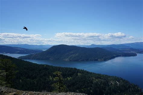 Hiking Salt Spring Island: 4 Must-Do Trails on your Island Getaway