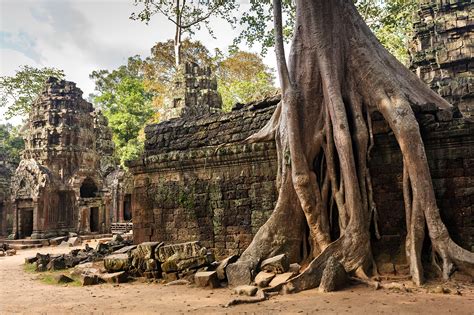 Ta Prohm Temple - Temple Ruins and Tomb Raider Filming Location in Angkor – Go Guides