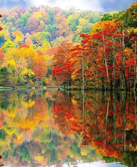 Beavers Bend State Park in southeast Oklahoma, USA | Beavers bend state park, State parks ...