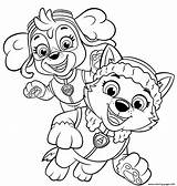 Skye Paw Patrol Coloring Page sketch template
