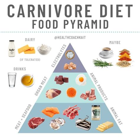 carnivore diet foods - Olive News City