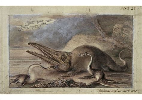 Print of Ichthyosaurus, Plesiosaurus | Extinct animals, Dinosaur illustration, Painting