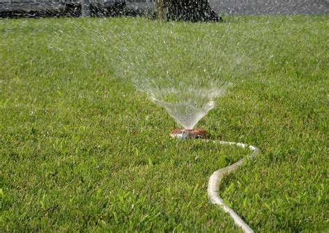 Lawn Care Irrigation System at Works on Green Grass Stock Image - Image of garden, landscaping ...