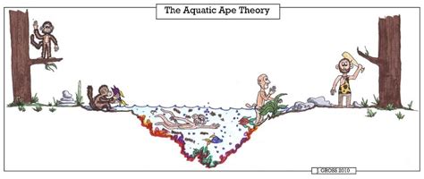 Alternative Theories of Homo Evolution