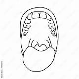 Vector Illustration Of Open Mouth With Teeth And Tongue Linear Art  sketch template