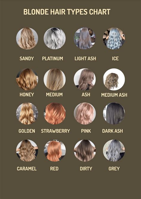 Blonde Hair Types Chart in PDF, Illustrator - Download | Template.net