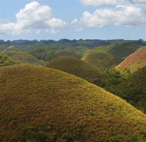 File:Bohol-Chocolate Hills.jpg - Wikipedia, the free encyclopedia