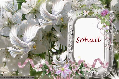 Sohail Name Wallpaper Sohail ~ Name Wallpaper Urdu Name Meaning Name ...