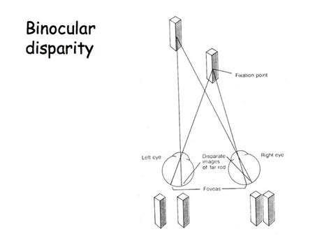 Perception Lecture Notes: Depth, Size, and Shape