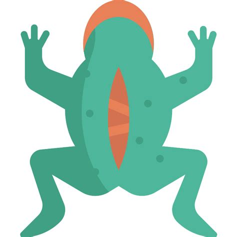 Vivisection Frog Vector SVG Icon - SVG Repo