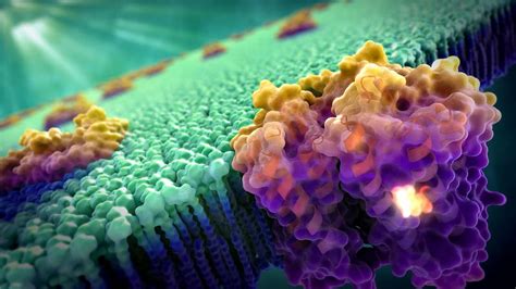 Cell Biology Cellular, HD wallpaper | Peakpx