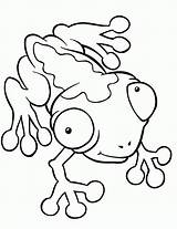 Cute Toad Coloring Pages To Print  Home sketch template