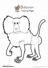 Baboon Coloring Pages For Kids – Free Printables  Art & Craft sketch template