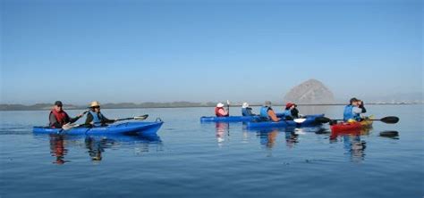 Kayaking in Morro Bay – Final Details – The Next Doors Family Reunion ...