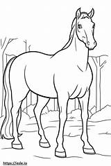 Canadian Horse cartoon coloring Page sketch template