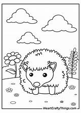 Free Hedgehog Coloring Pages sketch template