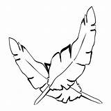 Free Feather Coloring Pages Pdf  Coloringfoldercom sketch template