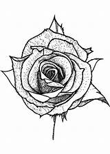 Adult Coloring Page Single Rose · Creative Fabrica sketch template