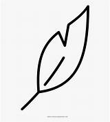 Feather Coloring Page  Free Transparent Clipart ClipartKey sketch template